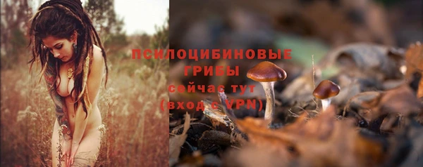 спиды Горно-Алтайск