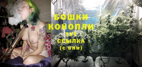спиды Горно-Алтайск